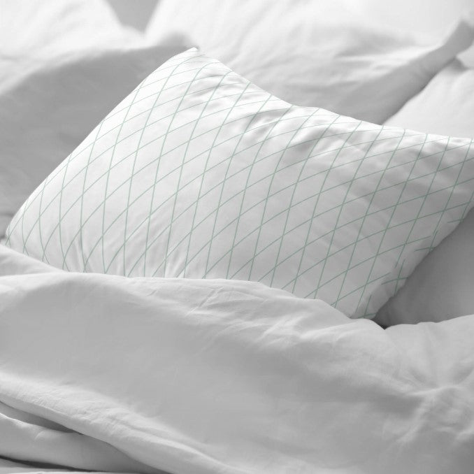 Funda de almohada 100% algodón Blenheim 2