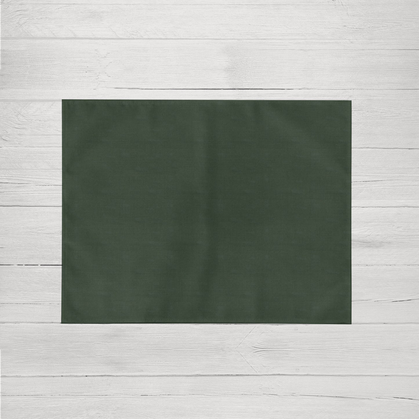 Pack 2 unidades mantel individual resinado Liso 02 - 45x35 cm 2