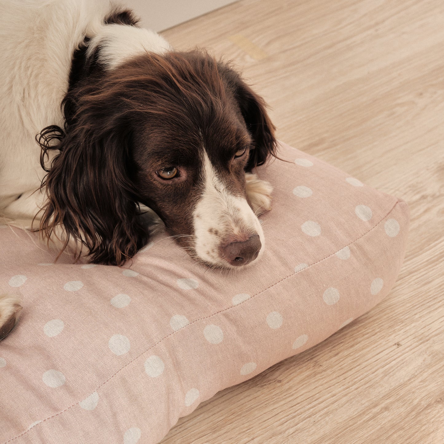 Thick Quilted 100% Cotton Stain Resistant Pet Bed for Dogs and Cats 0120-179