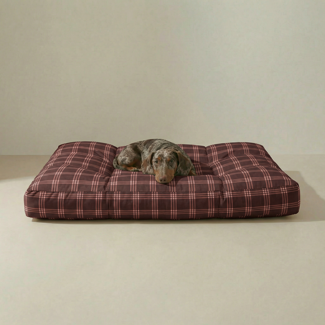 Cama para mascota gruesa y acolchada con acabado antimanchas Gus