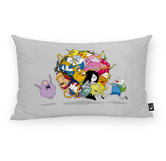 Housse de coussin 100% Coton 30x50 cm Adventure Time C