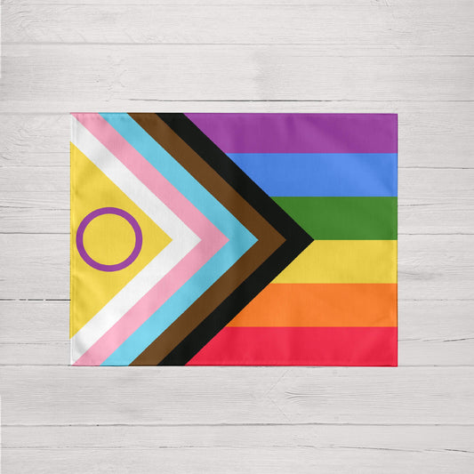 Pack of 2 stain-resistant individual placemats Pride 101 45x35 cm