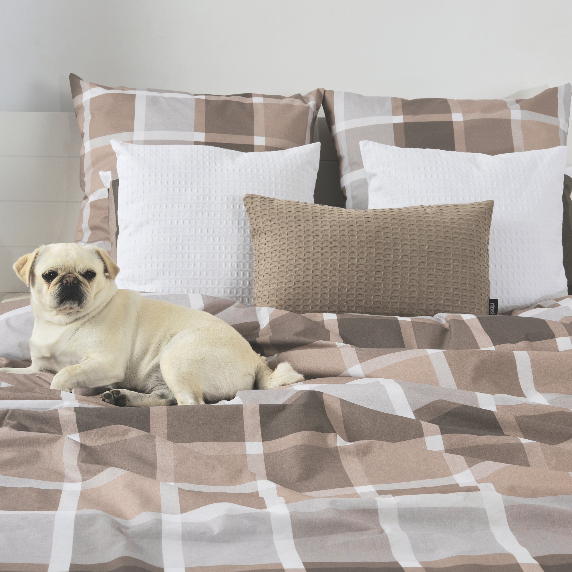 Housse de couette Sutton Brown 100% coton