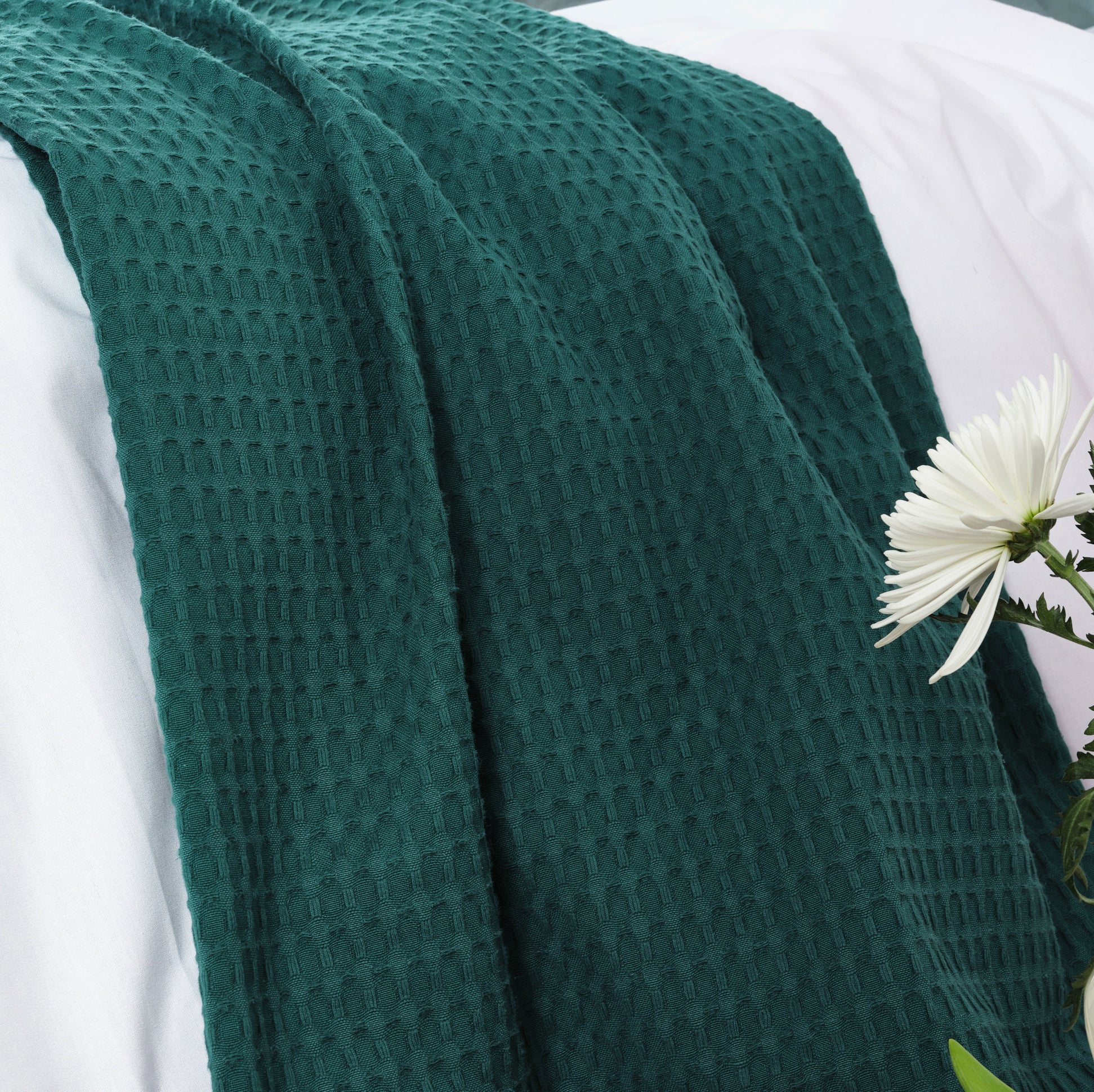 Housse de couette York Lilas 100% coton