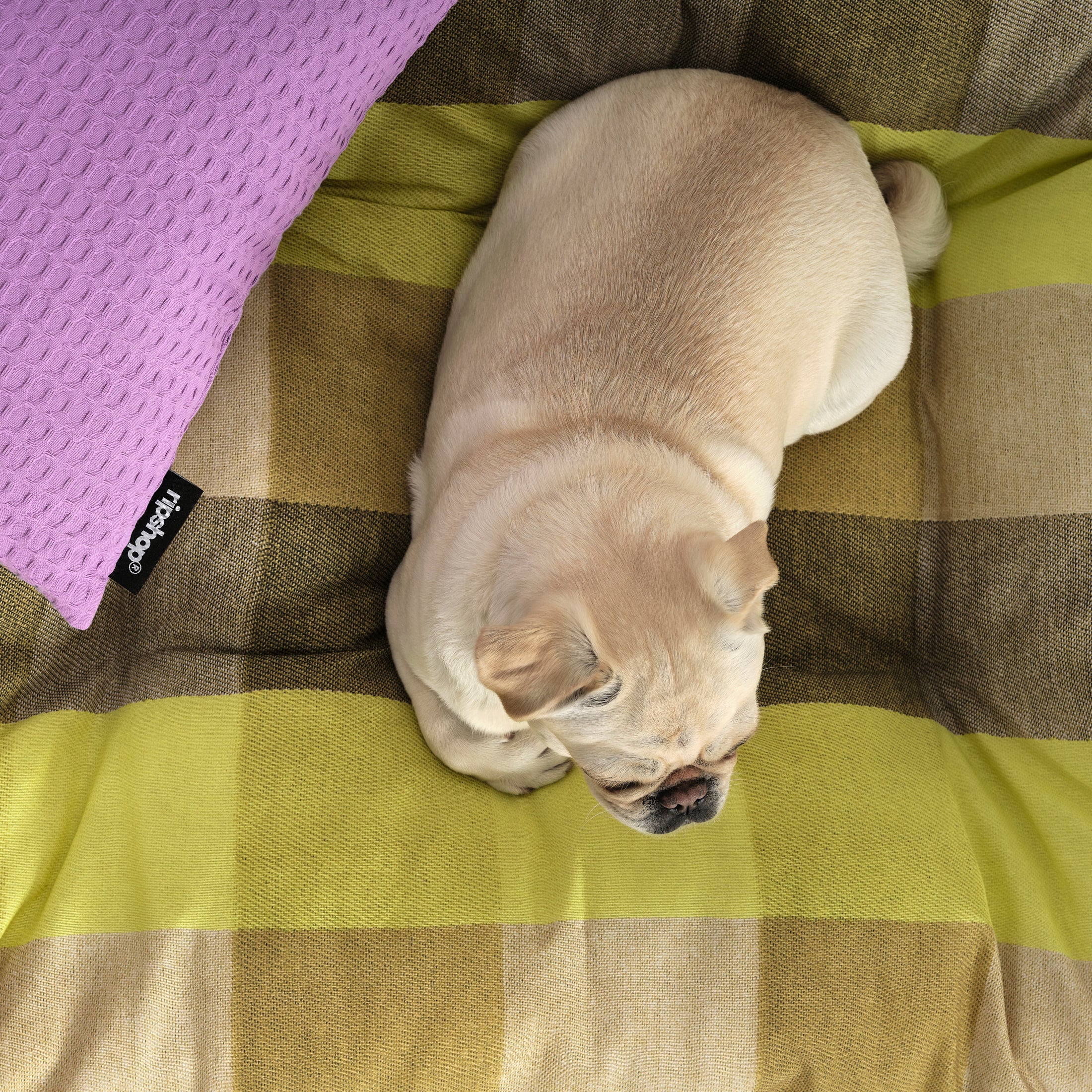 100% Cotton Stain-Resistant Pet Bed Bath Green