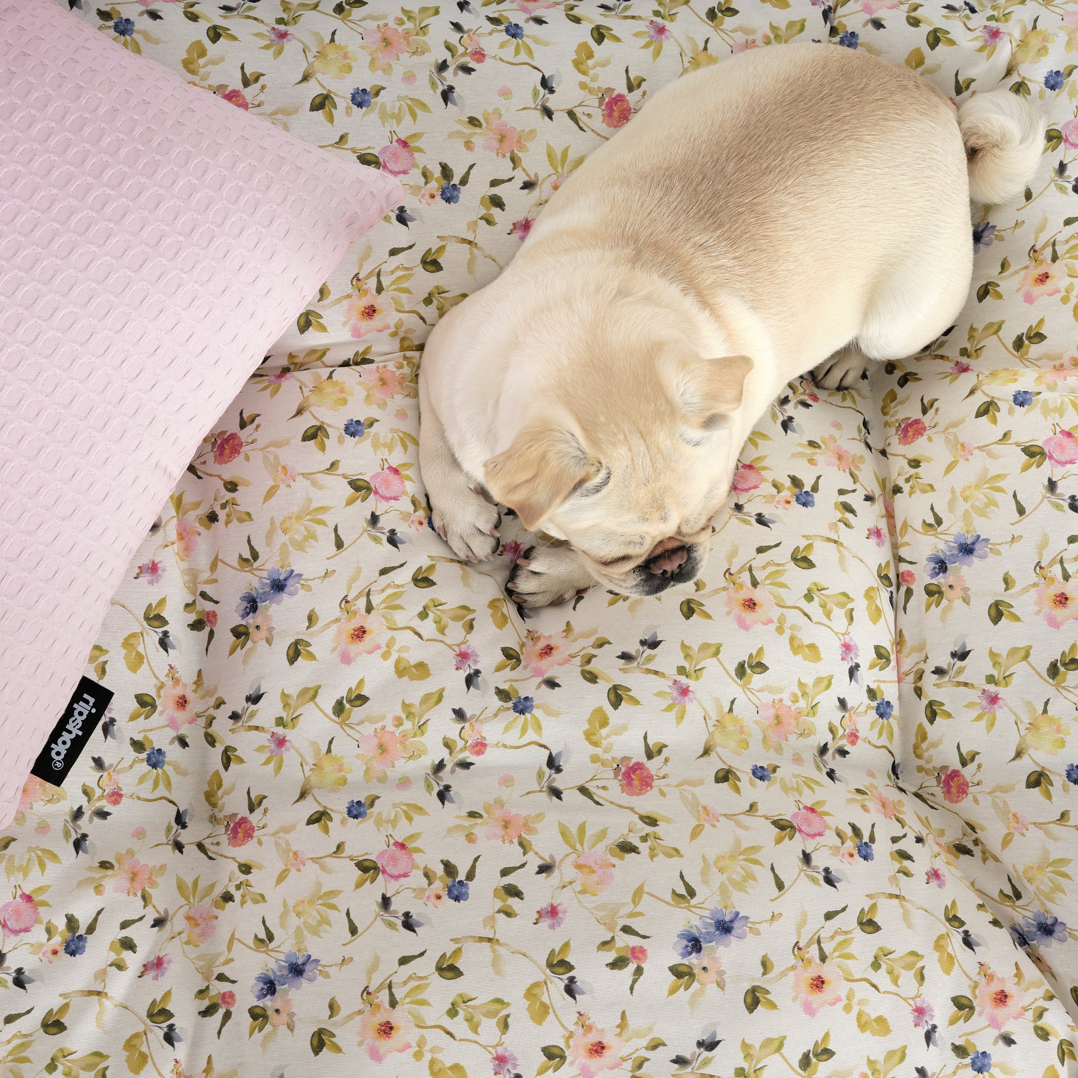 100% Cotton Stain Resistant Pet Bed Leeds Green