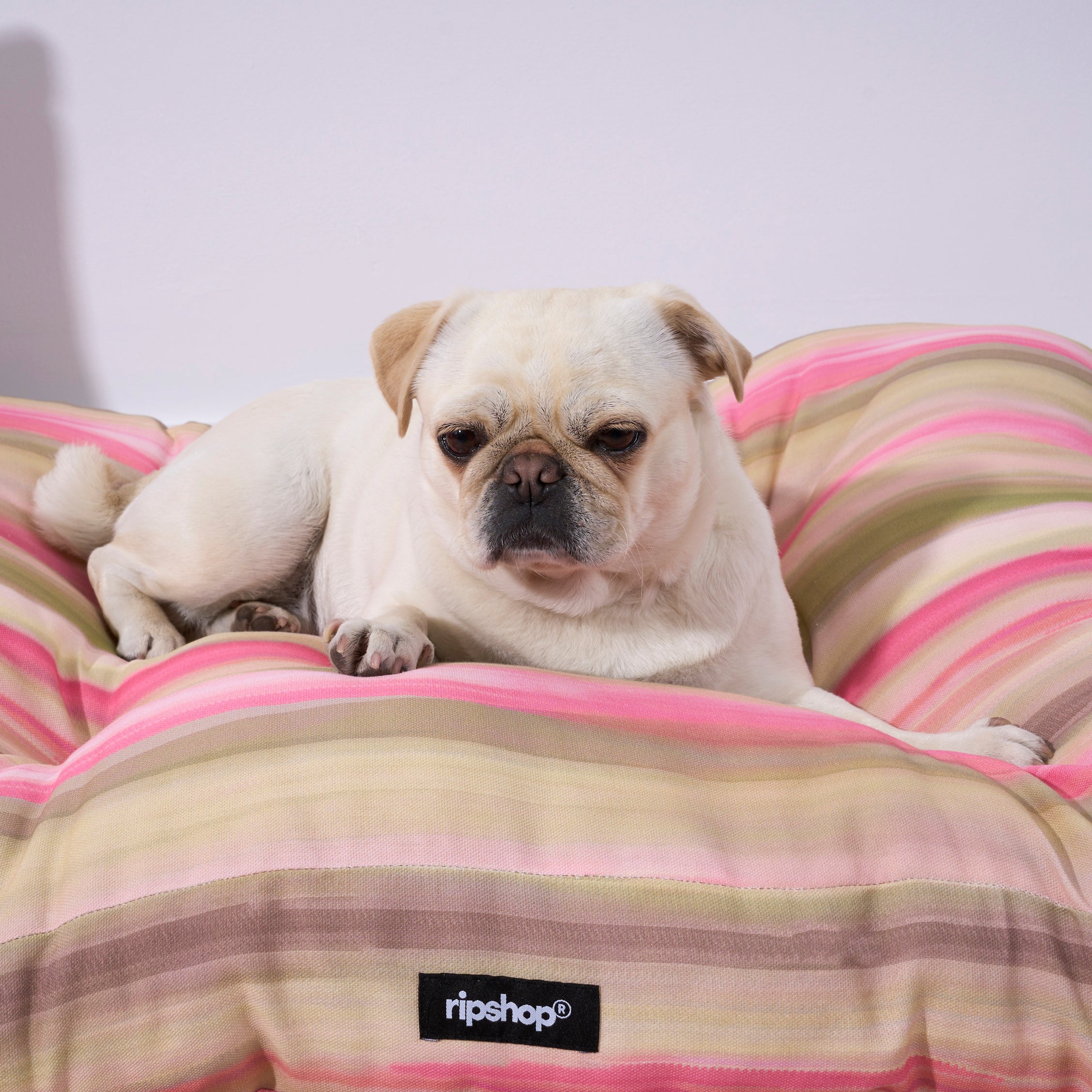 Exeter 100% Cotton Stain Resistant Pet Bed Green