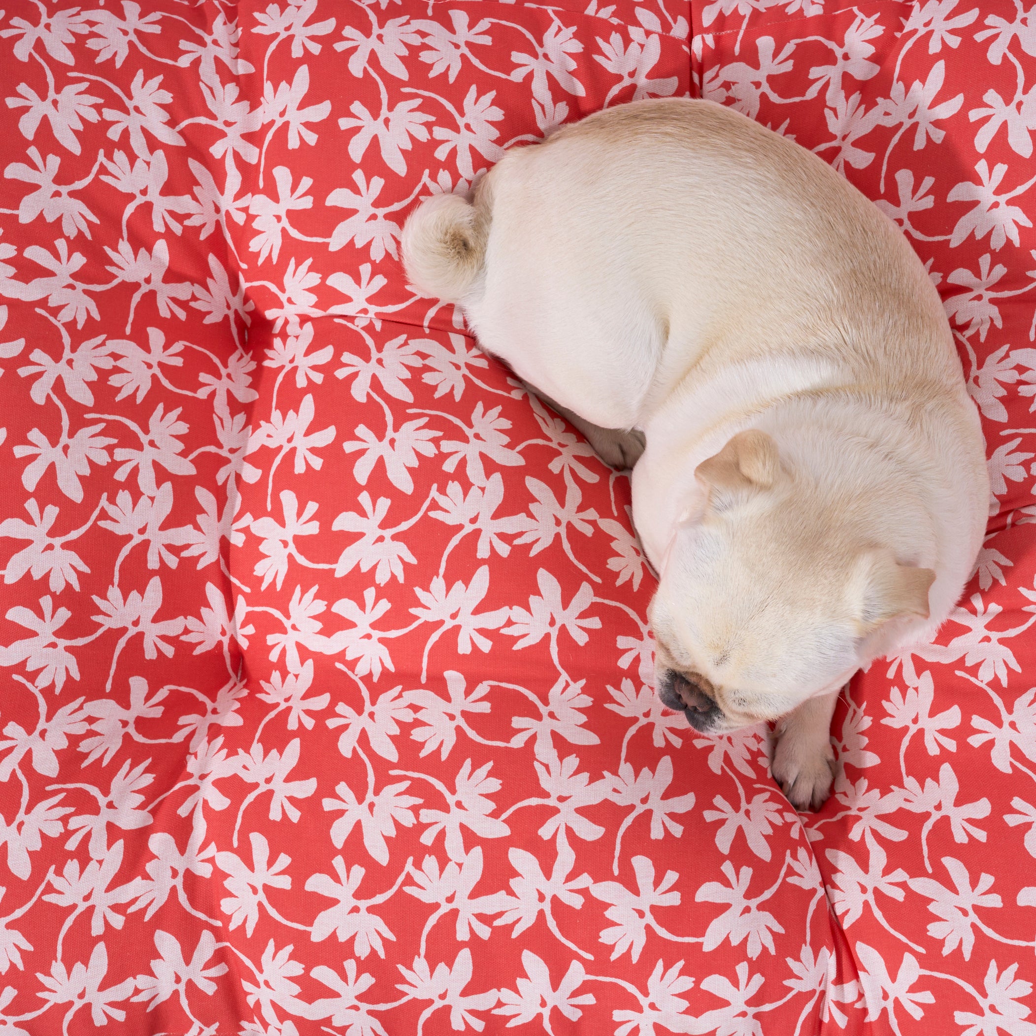 Cama de mascota 100% algodón antimanchas Halton 25