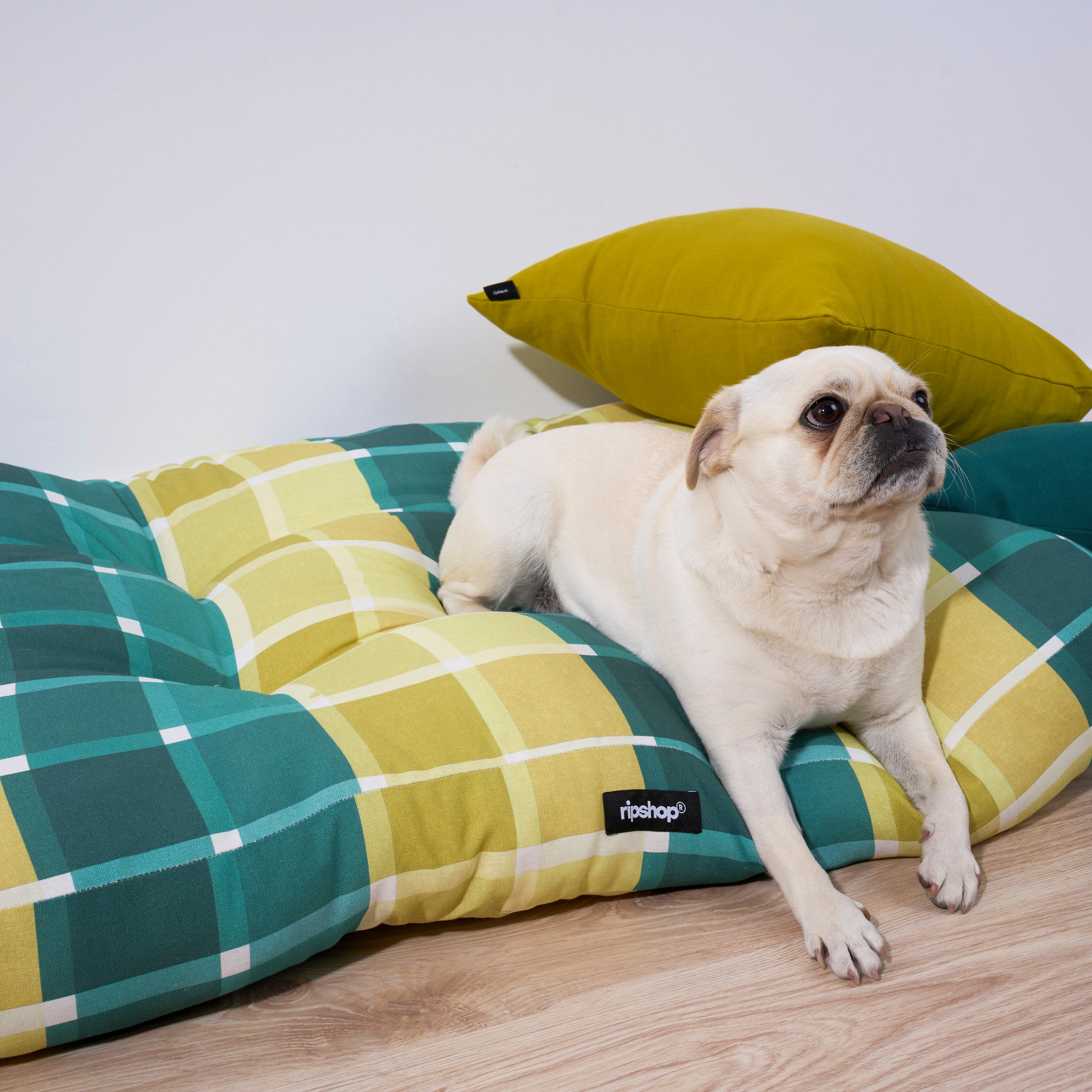 Sutton Esmeralda 100% Cotton Stain-Resistant Pet Bed