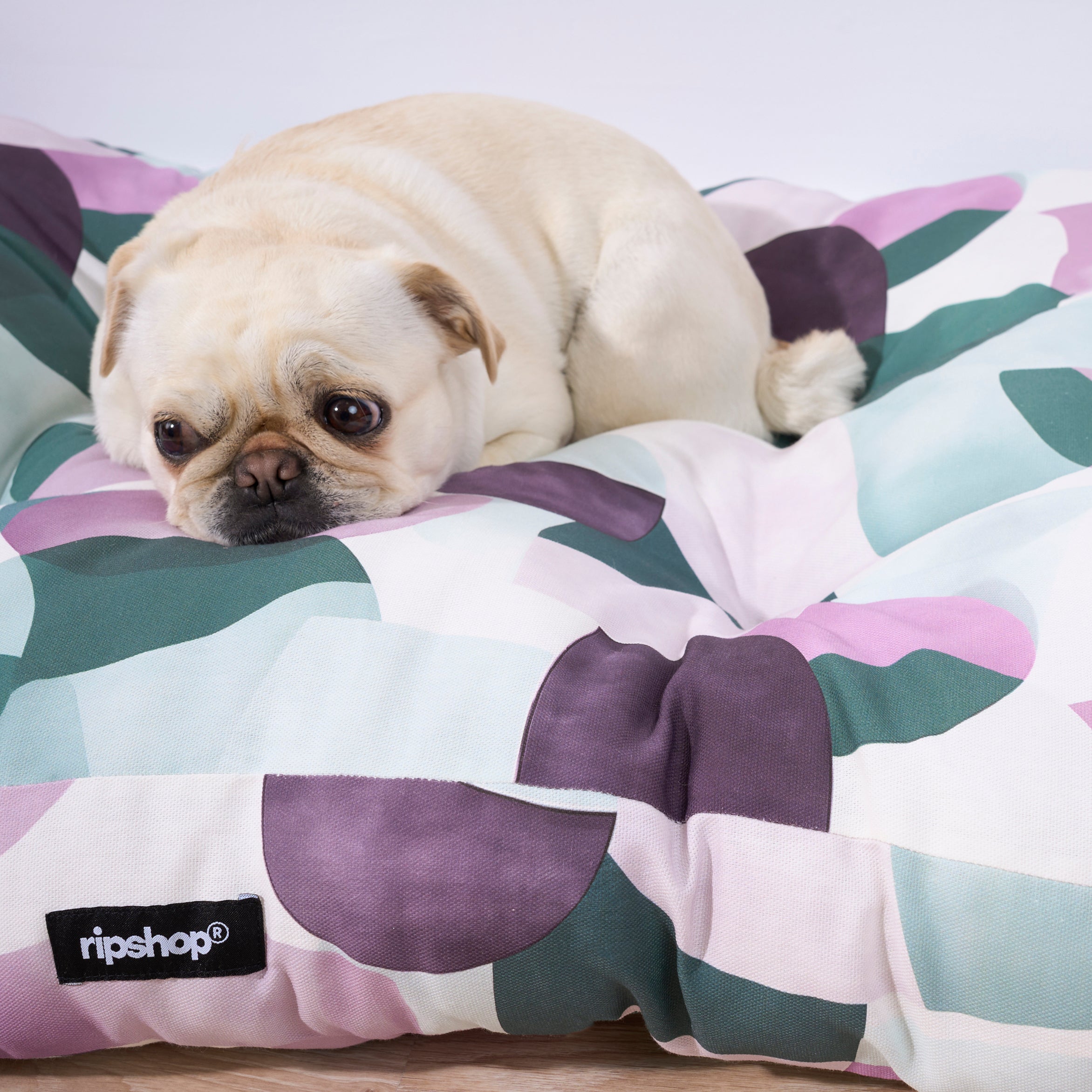 Lit pour animal de compagnie 100 % coton résistant aux taches York Lilac