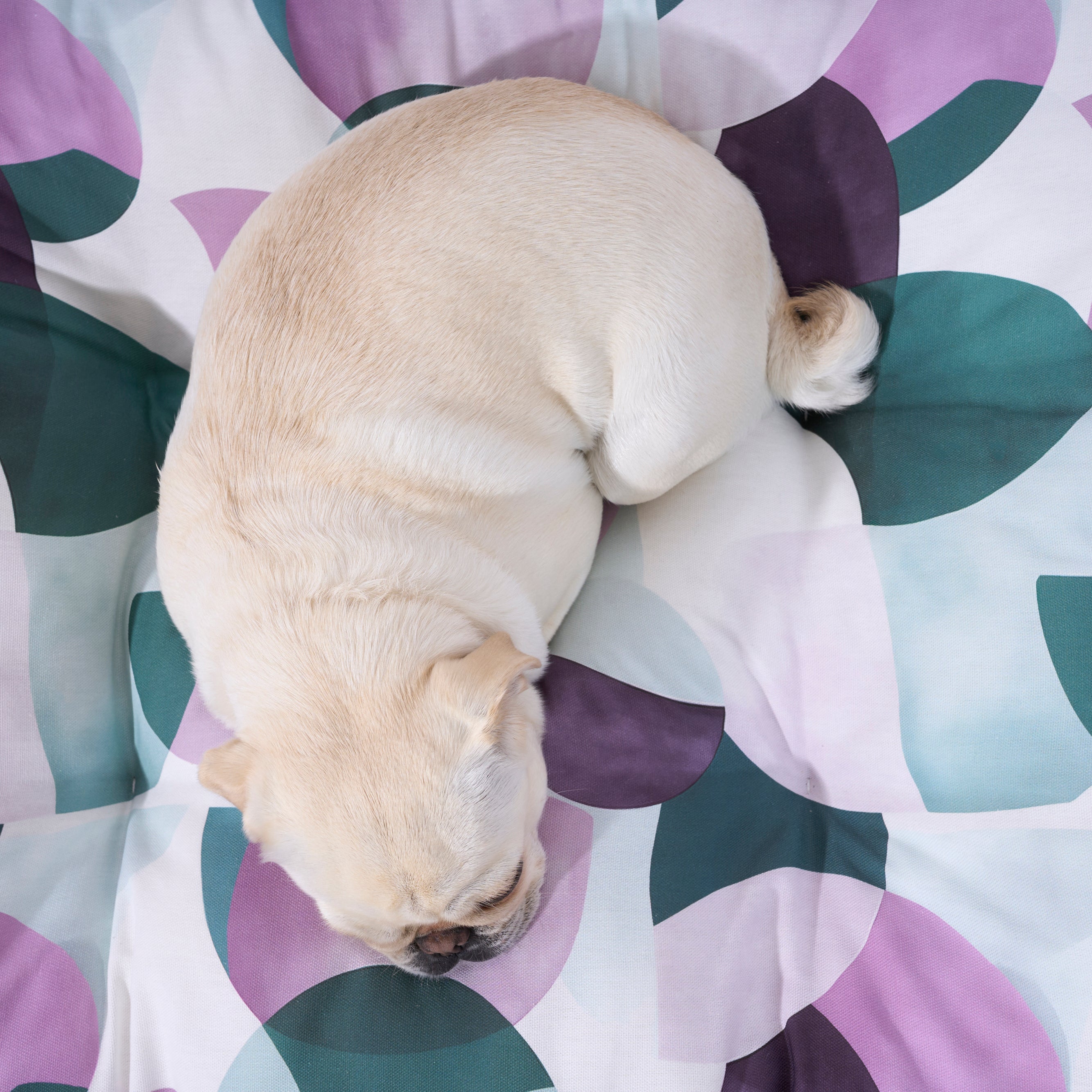 Lit pour animal de compagnie 100 % coton résistant aux taches York Lilac