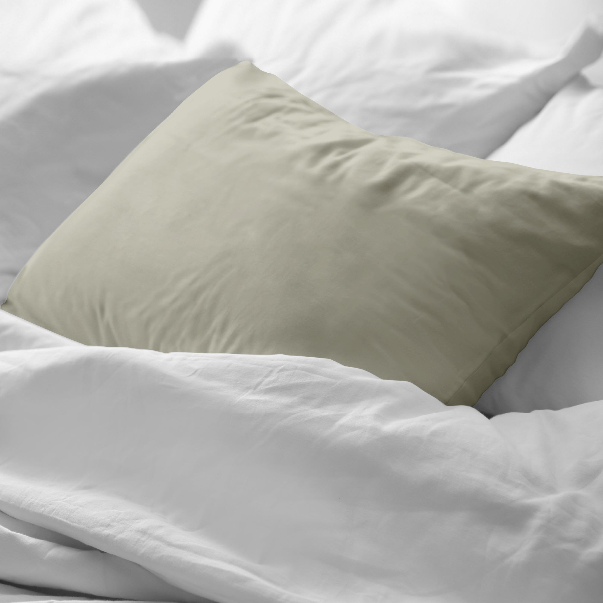 Taie d'oreiller unie 100% coton Beige