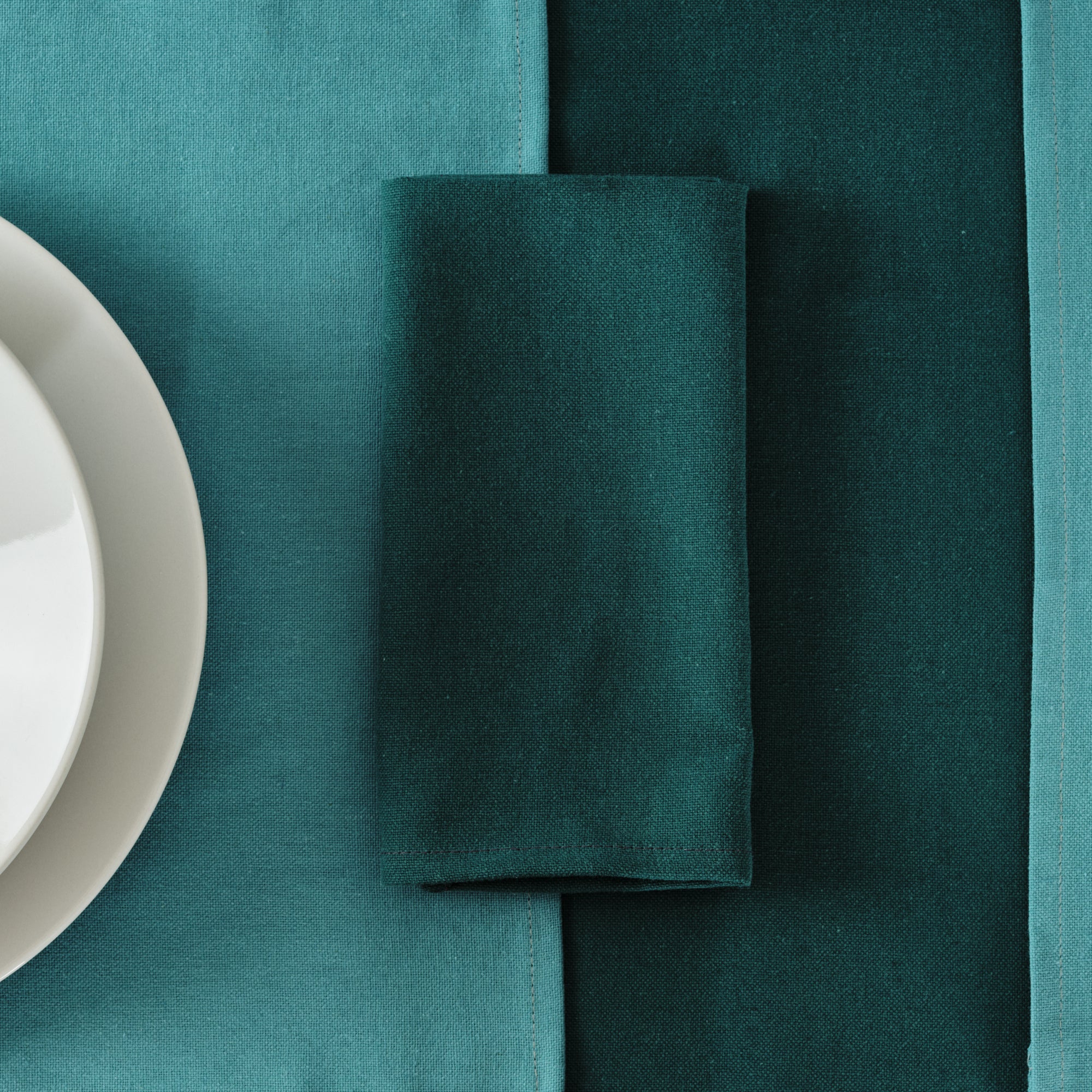 Pack of 2 plain napkins 100% linen Esmeralda