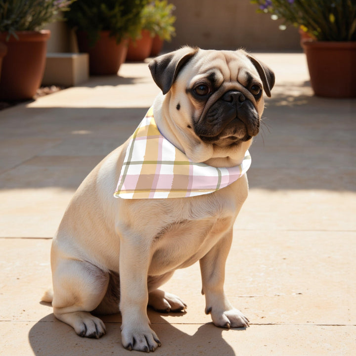 Pack 2 unidades bandana para mascotas MORELLA A