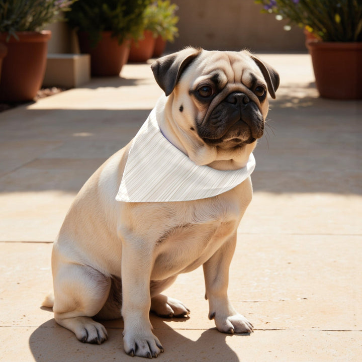 Pack 2 unidades bandana para mascotas LESA 125 BEIG