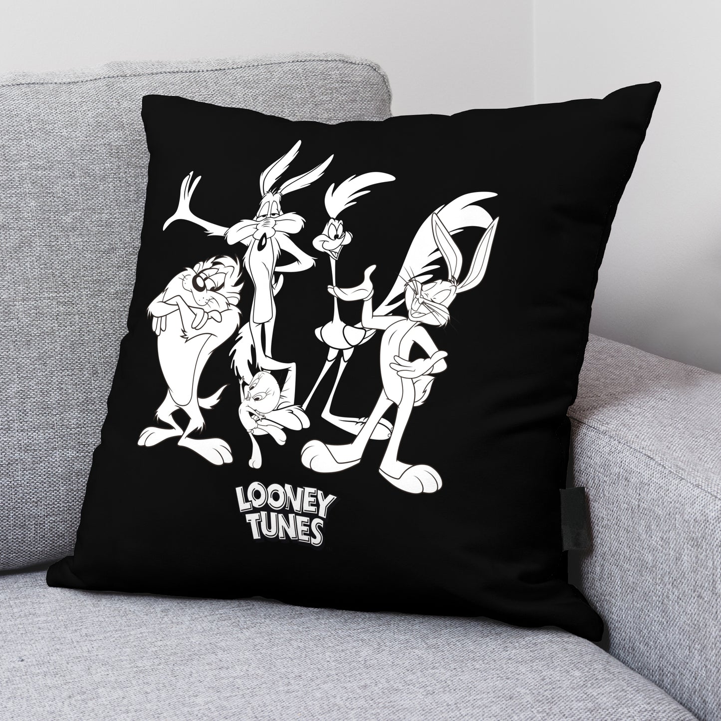 Housse de coussin 100% Coton 45x45 cm Looney B&amp;w A