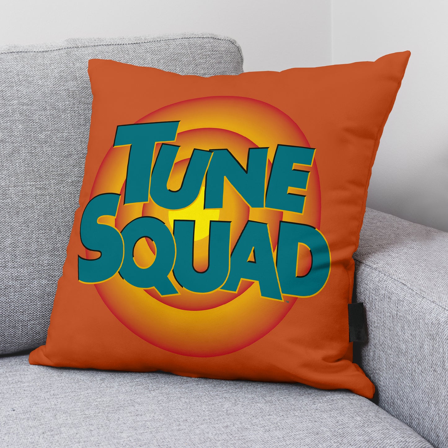 Housse de coussin 100% Coton 45x45 cm Tune Squad B