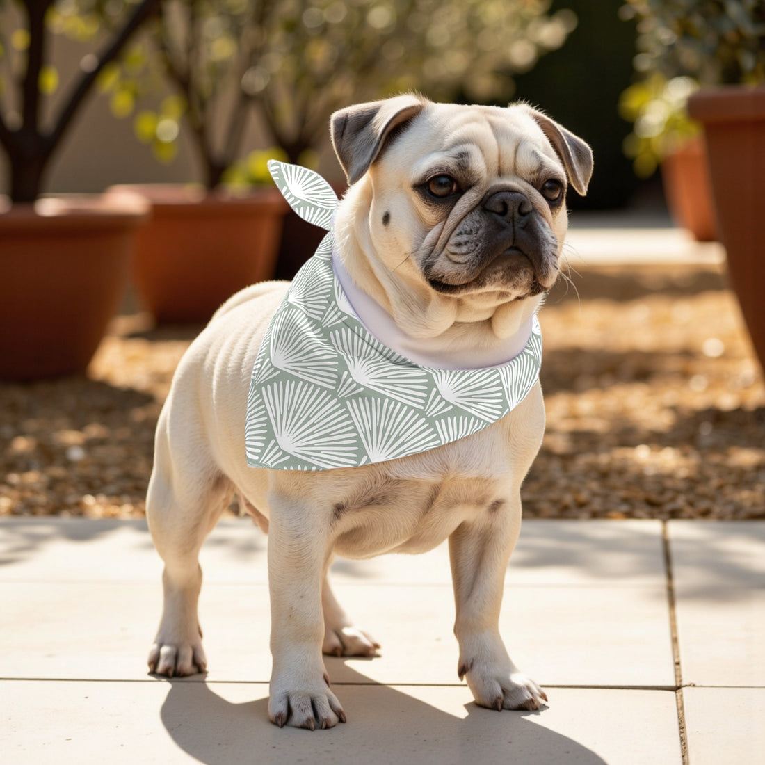 Pack 2 unidades bandana para mascotas ASENA 4