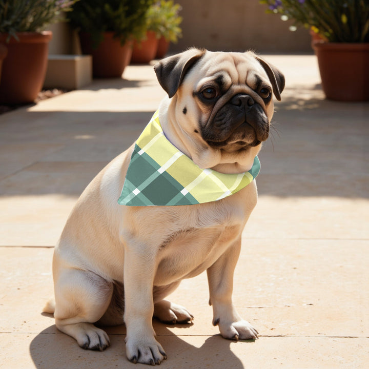 Pack 2 unidades bandana para mascotas SUTTON ESMERALDA RED.