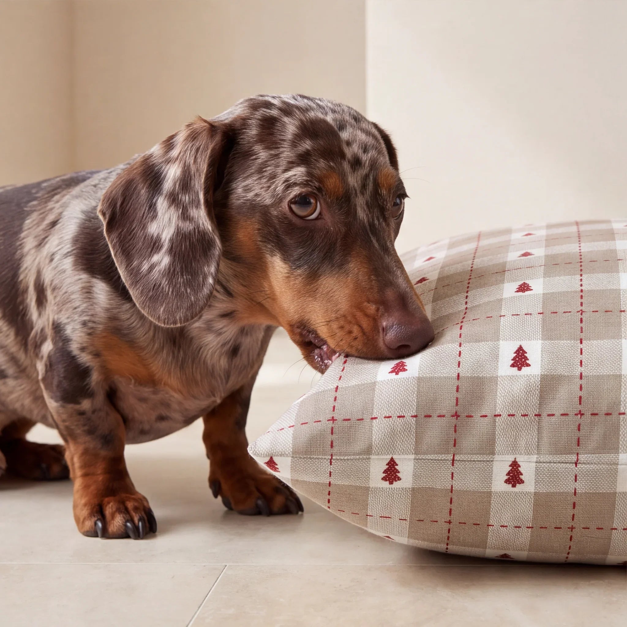 Funda para cama de mascota antimanchas Copina 10