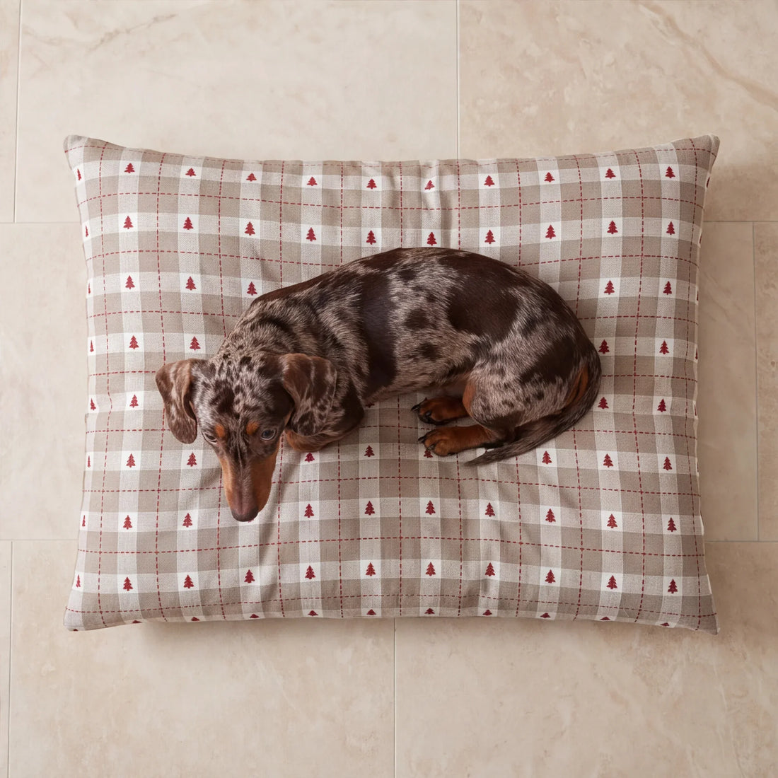 Funda para cama de mascota antimanchas Copina 10