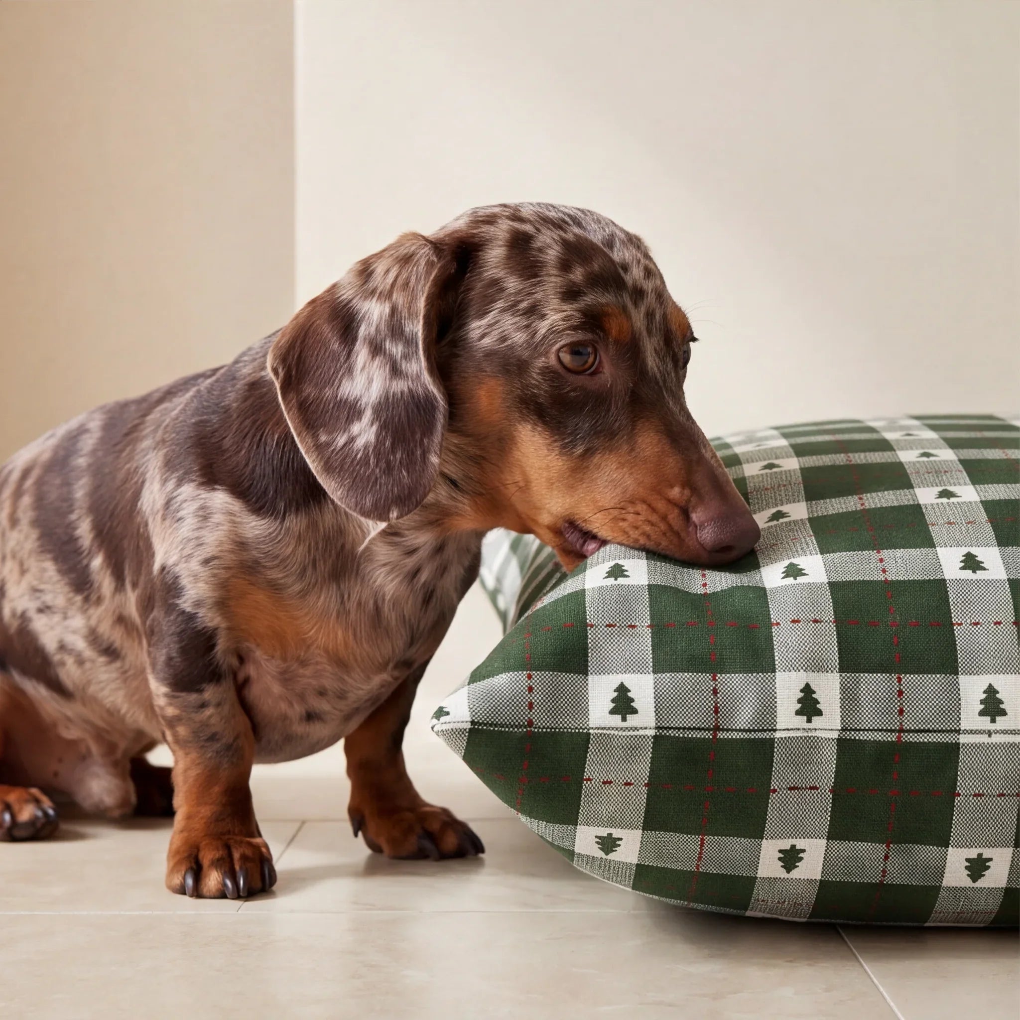 Cama para mascotas desenfundable antimanchas Copina 12