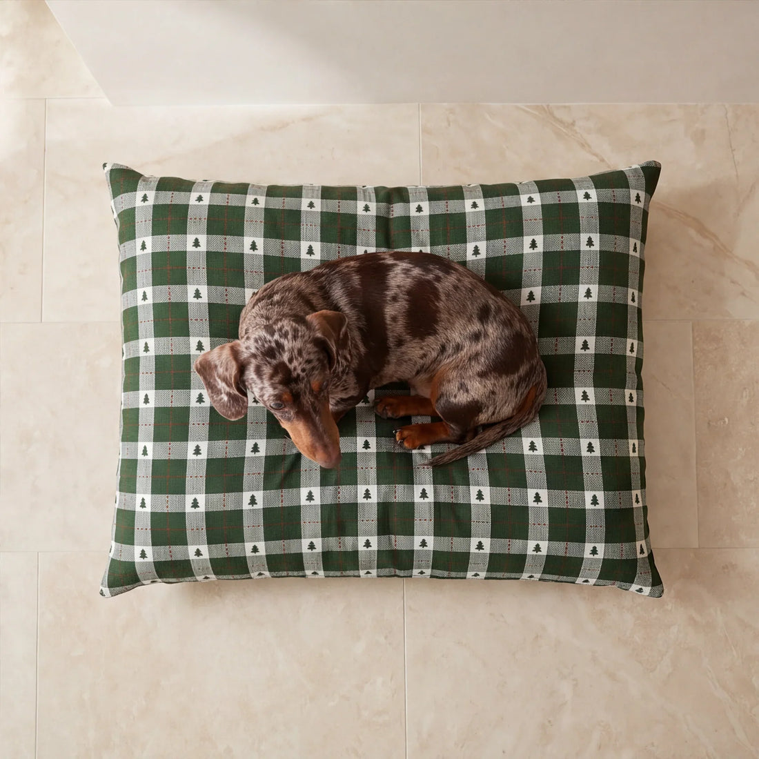 Cama para mascotas desenfundable antimanchas Copina 12