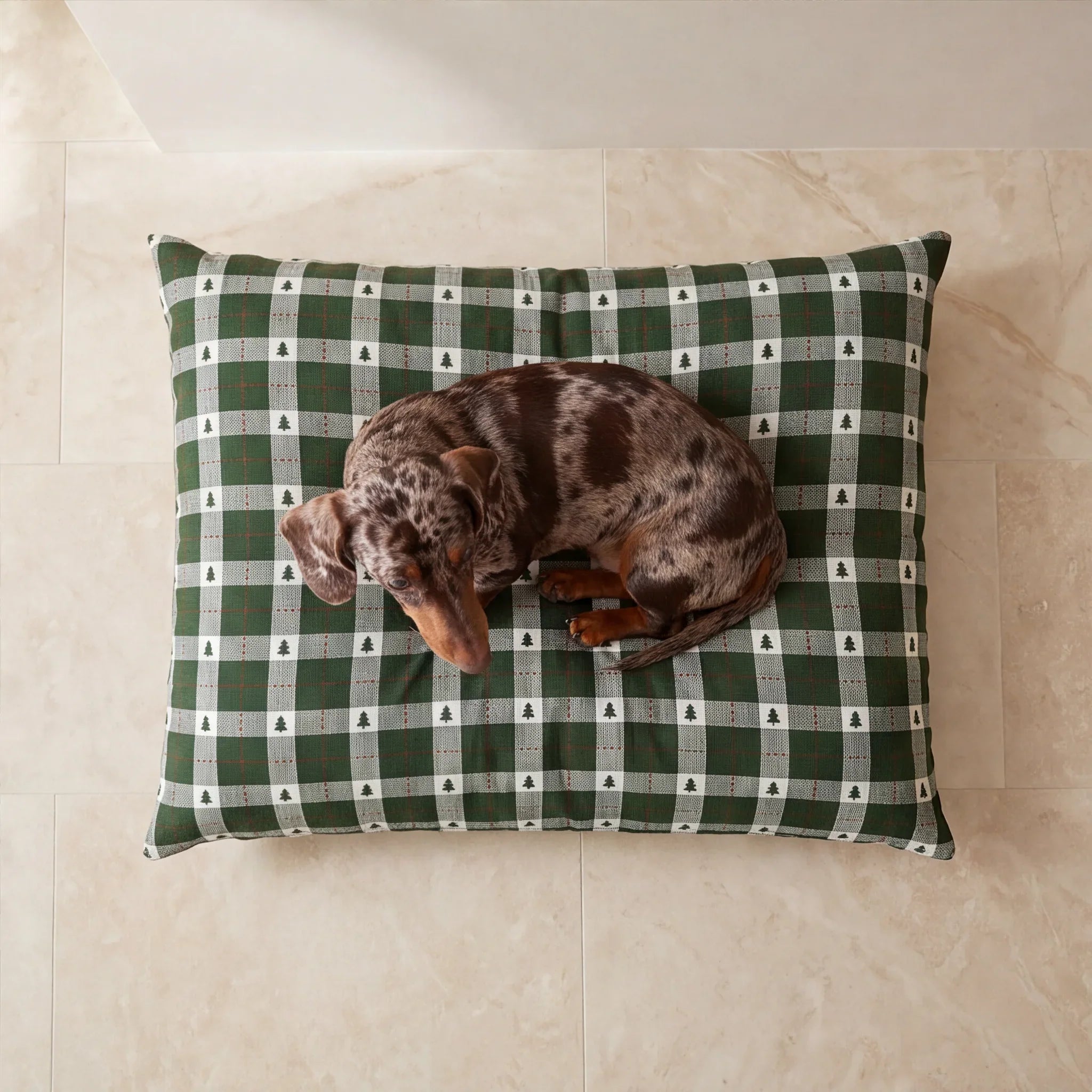 Pack cama de mascota + Funda para cama de mascota Copina 12