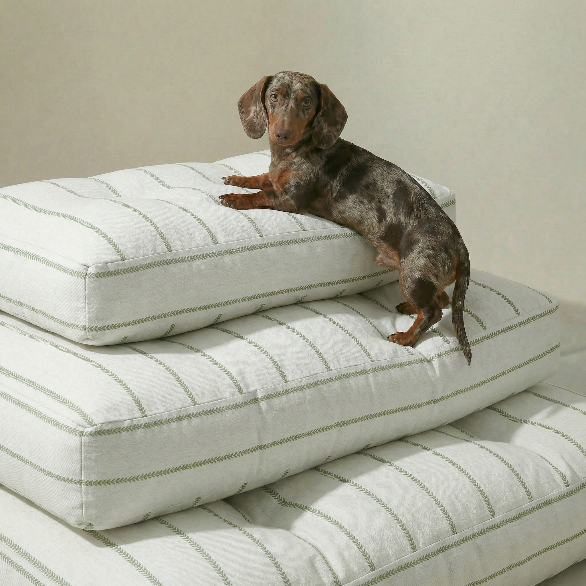 Cama para mascota gruesa y acolchada con acabado antimanchas Ian Green