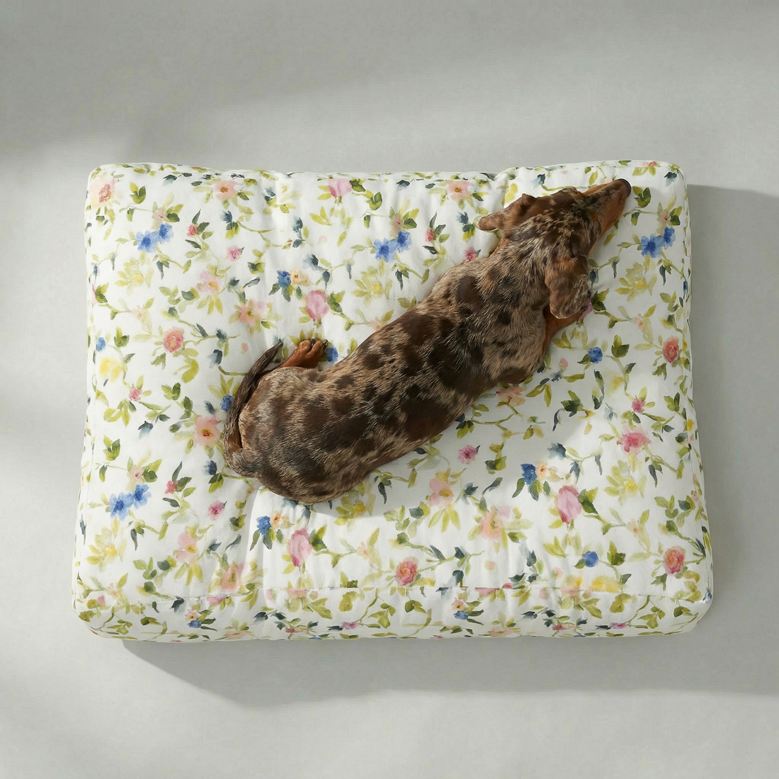 Cama de mascota 100% algodón antimanchas Leeds Verde