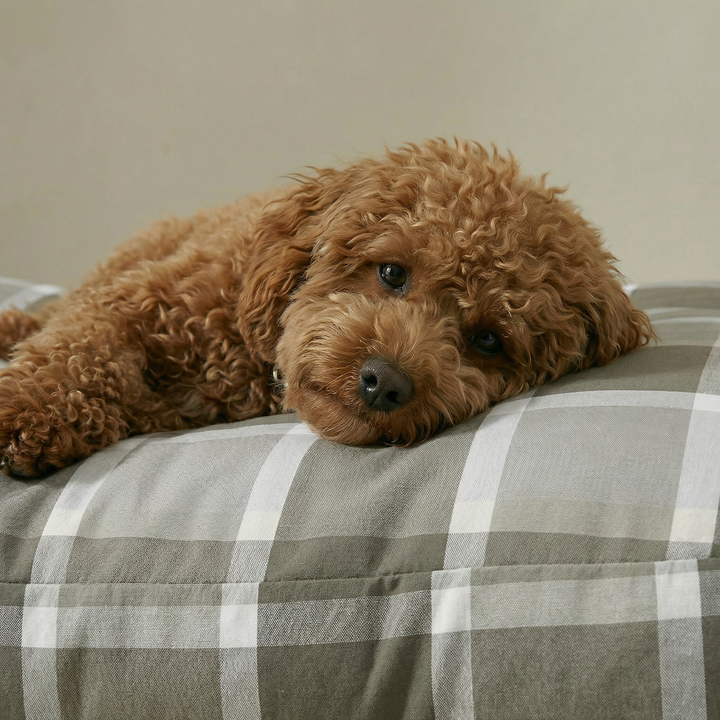 Cama de mascota 100% algodón antimanchas Sutton Marron