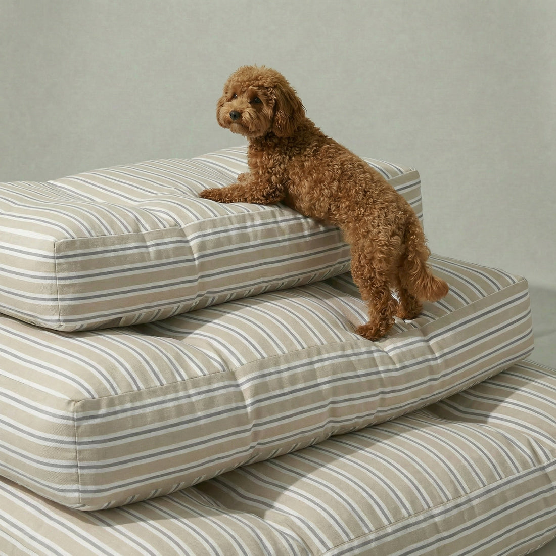 Cama para mascota gruesa y acolchada con acabado antimanchas Joel