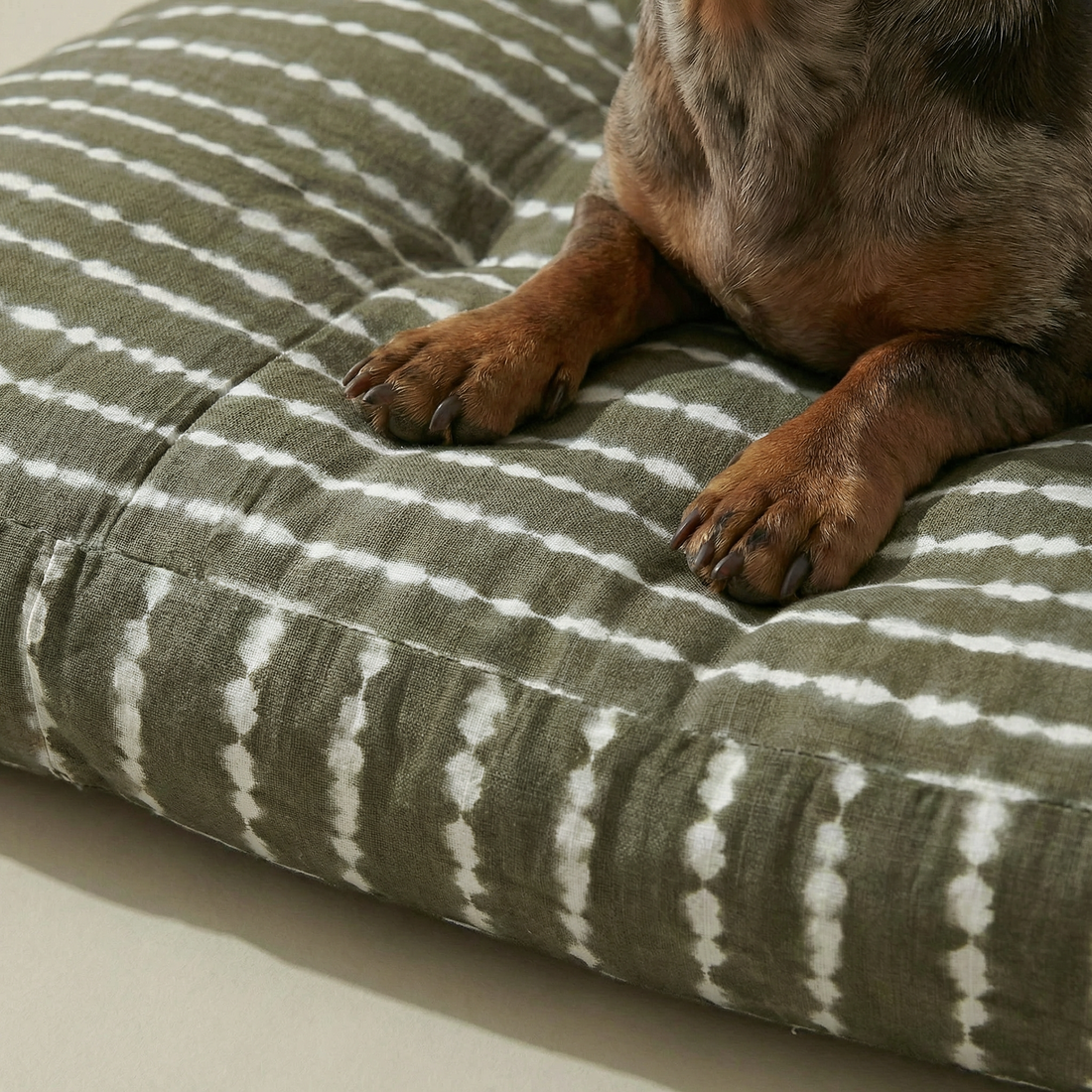 Bolton 6 Stain-Resistant 100% Cotton Pet Bed
