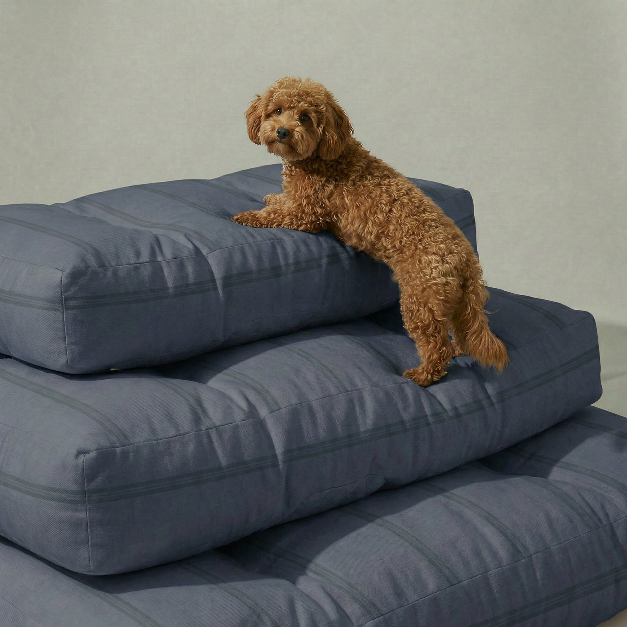 Cama para mascota gruesa y acolchada con acabado antimanchas Nua