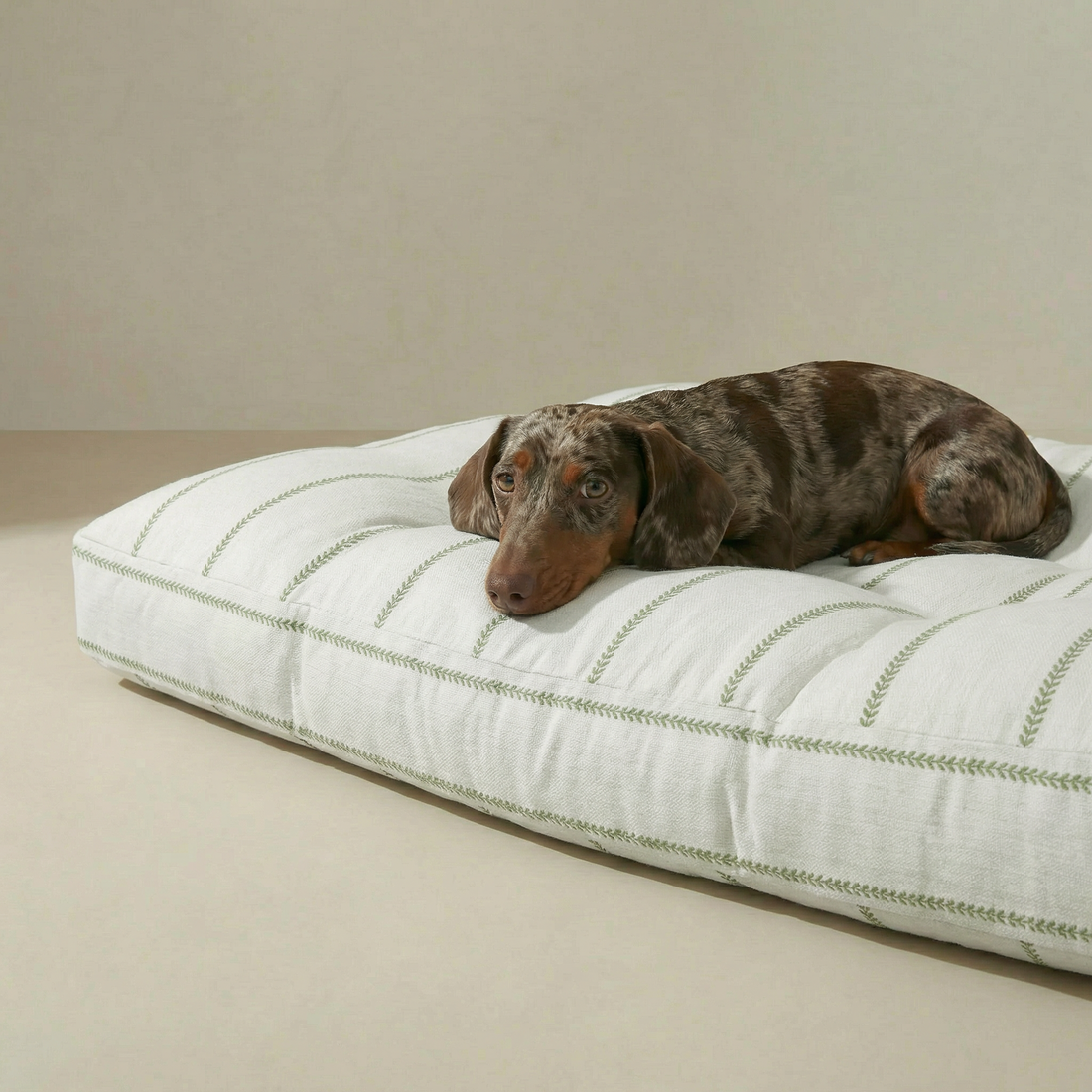 Cama para mascota gruesa y acolchada con acabado antimanchas Ian Green