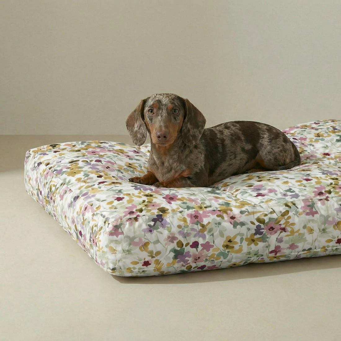 Cama para mascota gruesa y acolchada con acabado antimanchas Peter