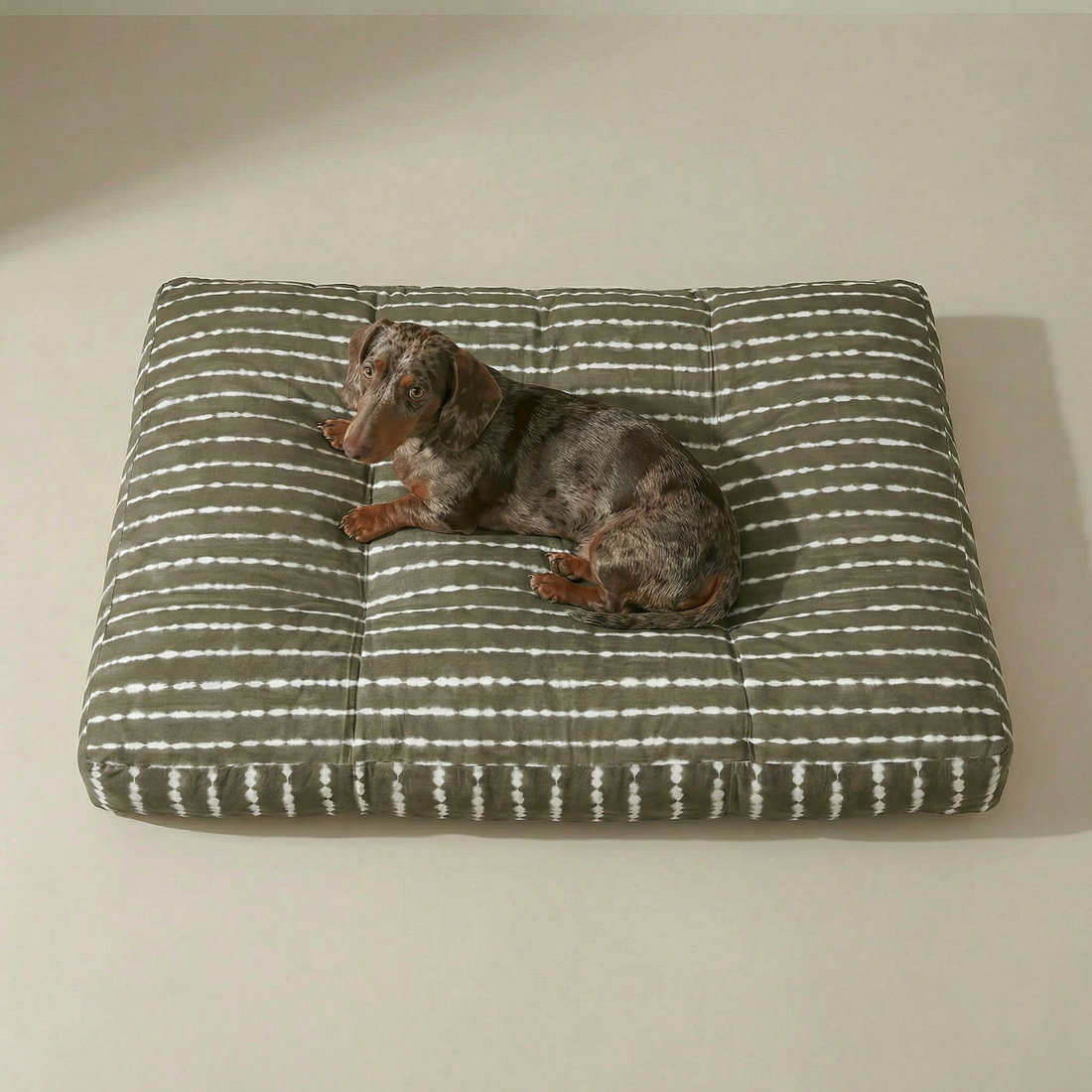 Bolton 6 Stain-Resistant 100% Cotton Pet Bed