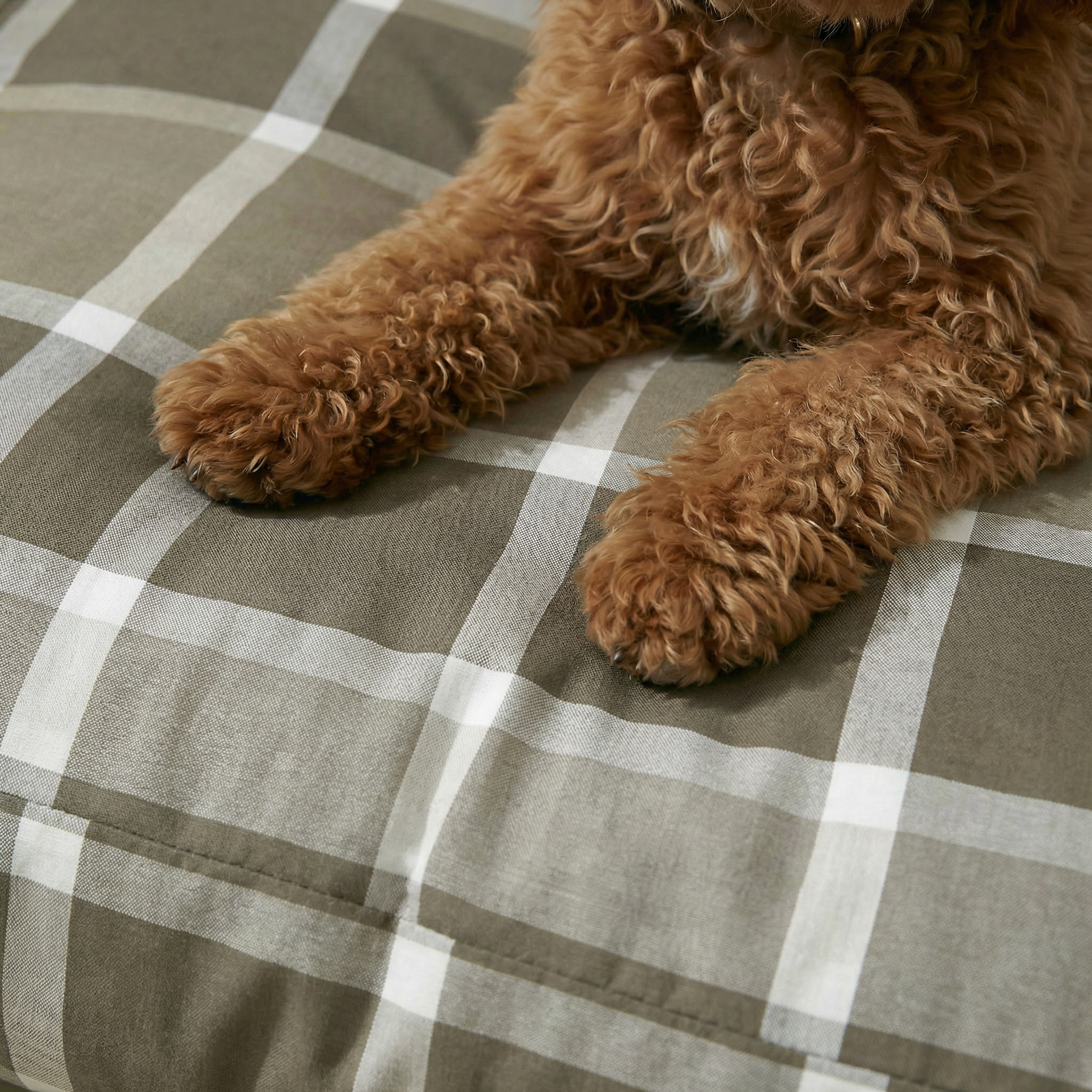 Lit pour animaux de compagnie 100 % coton résistant aux taches Sutton Brown