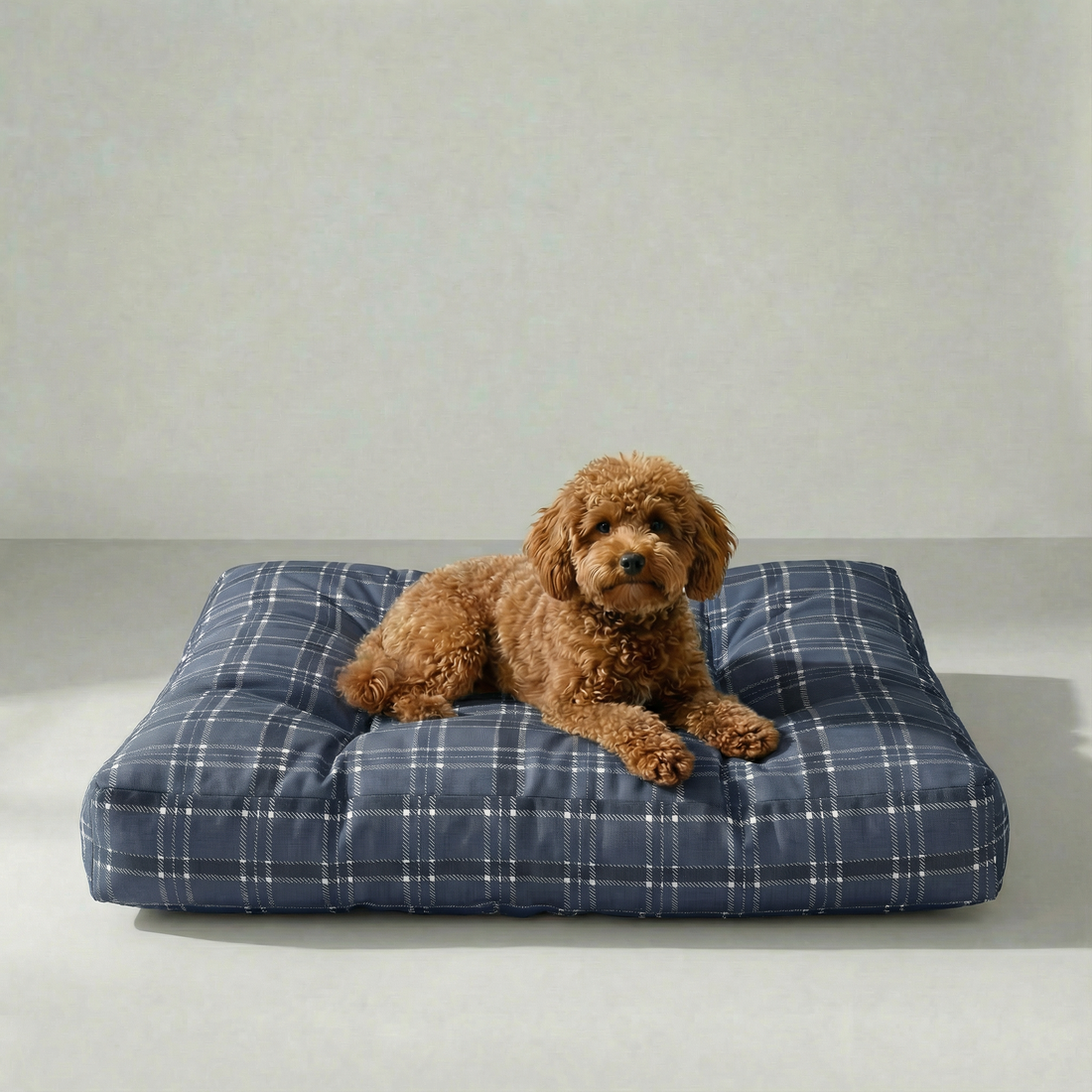 Cama para mascota gruesa y acolchada con acabado antimanchas Camilo Blue