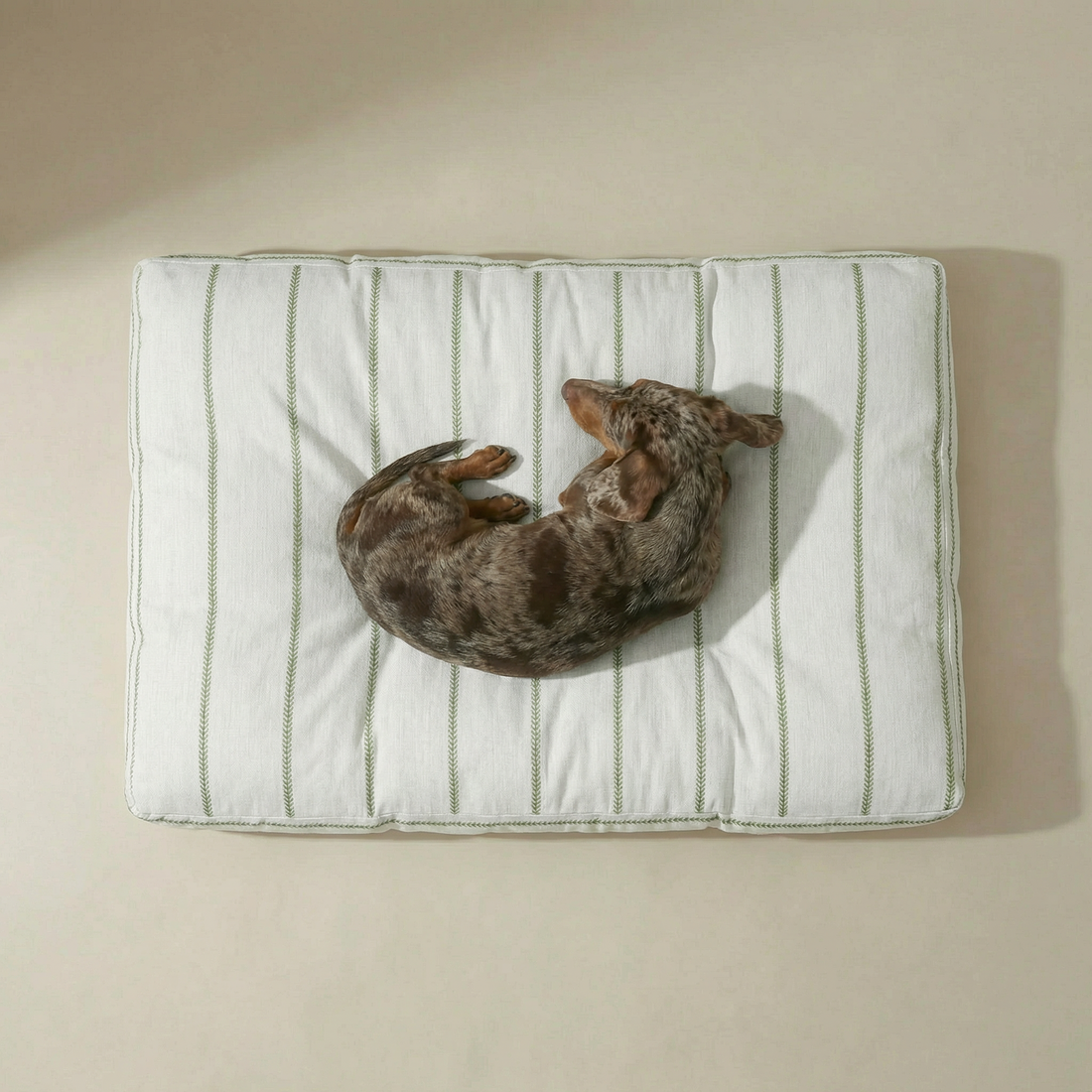 Cama para mascota gruesa y acolchada con acabado antimanchas Ian Green