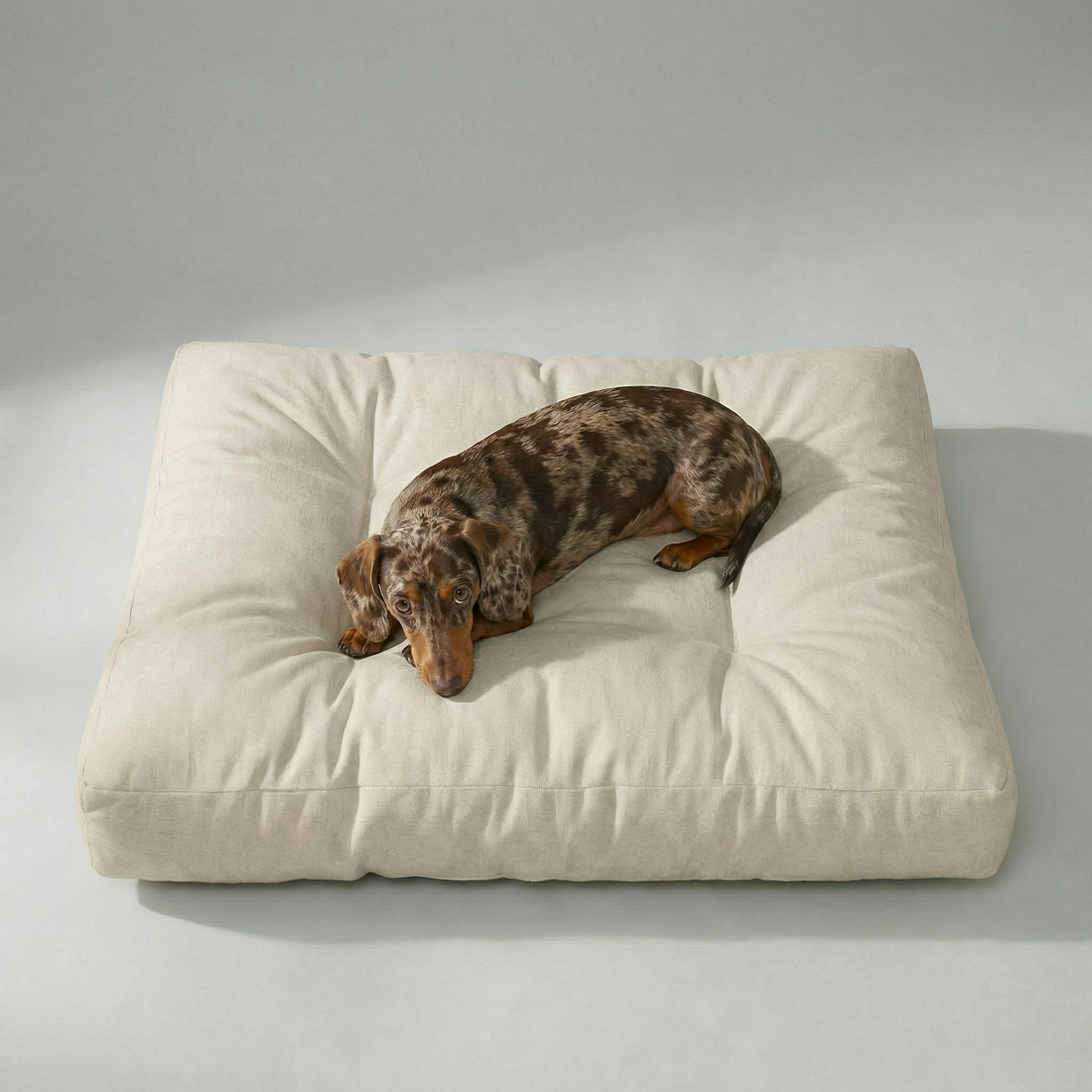 Cama para mascota gruesa y acolchada con acabado antimanchas Liso Lino 101