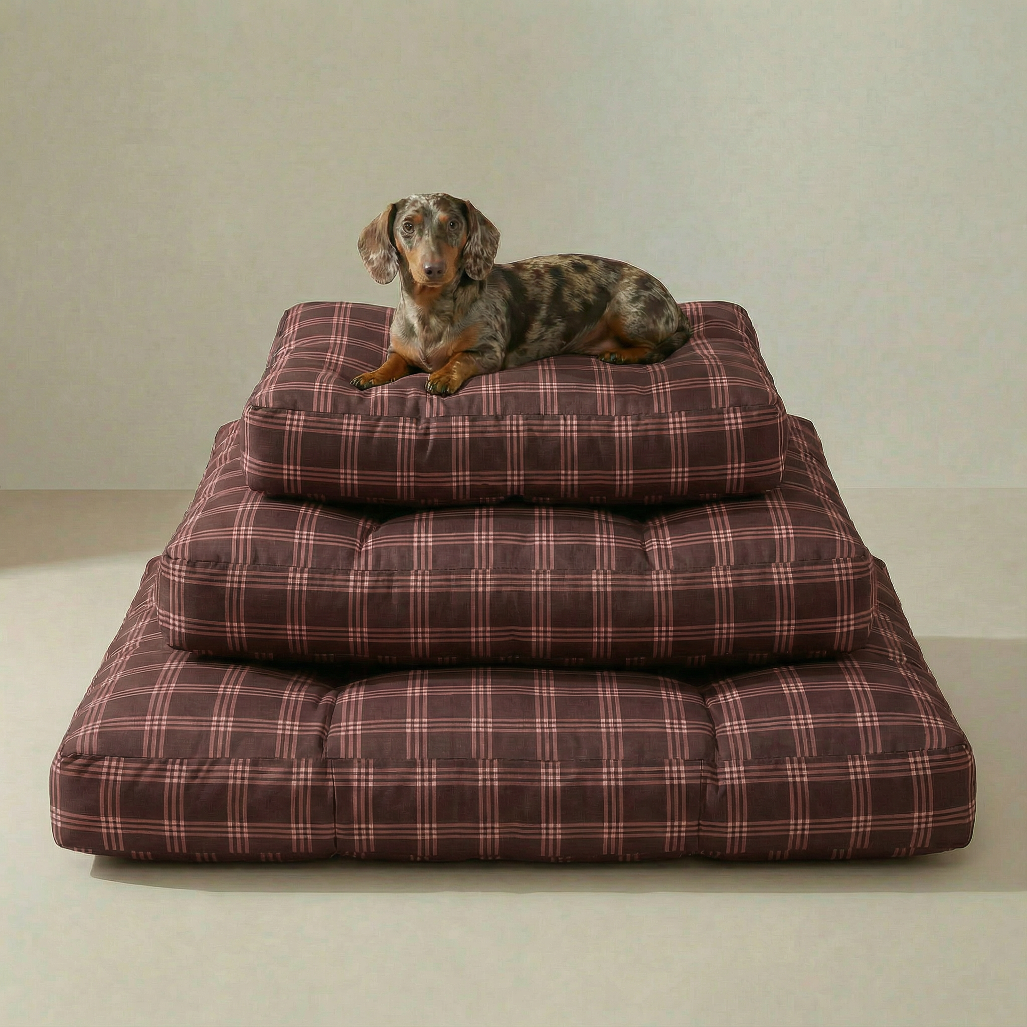 Cama para mascota gruesa y acolchada con acabado antimanchas Gus
