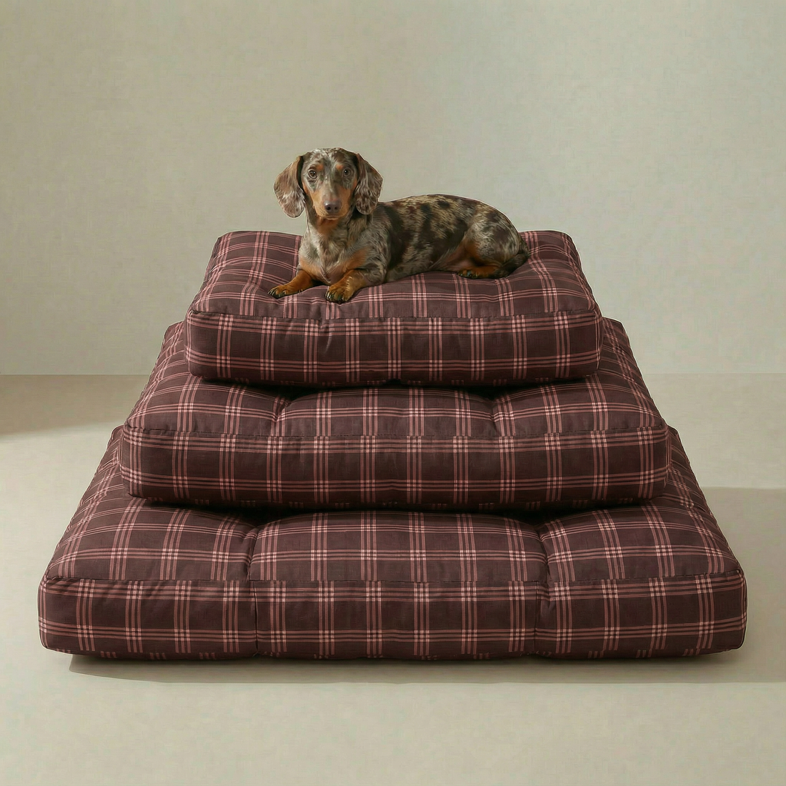 Cama para mascota gruesa y acolchada con acabado antimanchas Gus