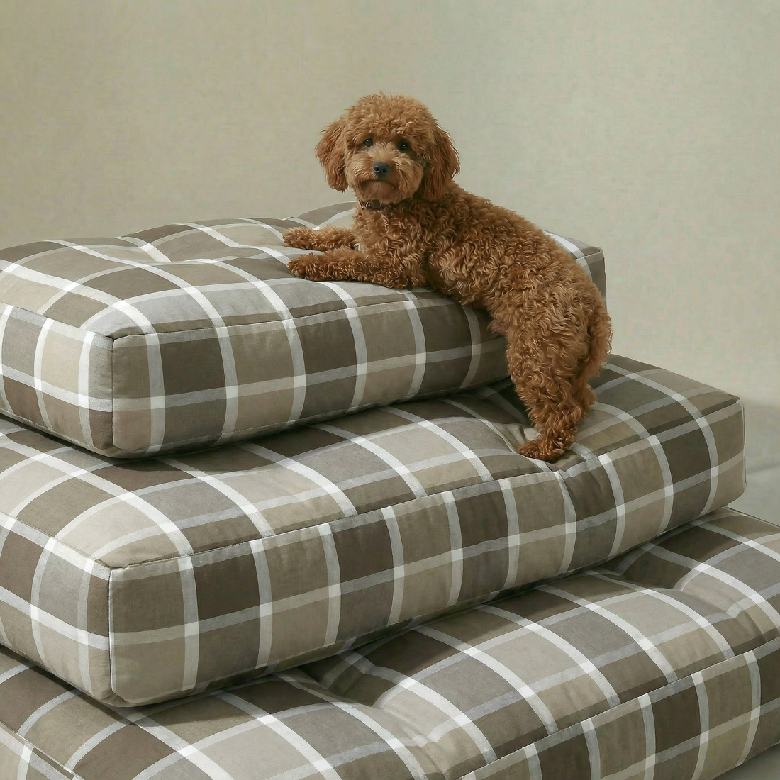 Lit pour animaux de compagnie 100 % coton résistant aux taches Sutton Brown