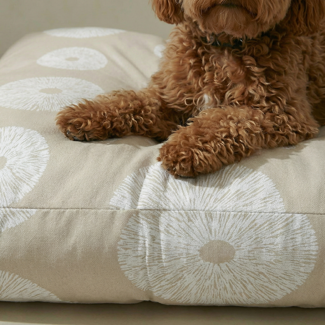 Cama para mascota gruesa y acolchada con acabado antimanchas Lolani