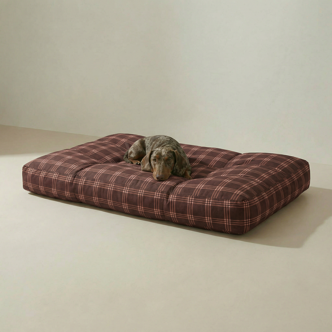 Cama para mascota gruesa y acolchada con acabado antimanchas Gus