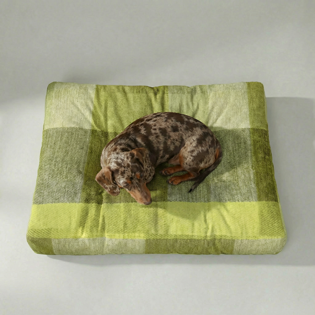 100% Cotton Stain-Resistant Pet Bed Bath Green