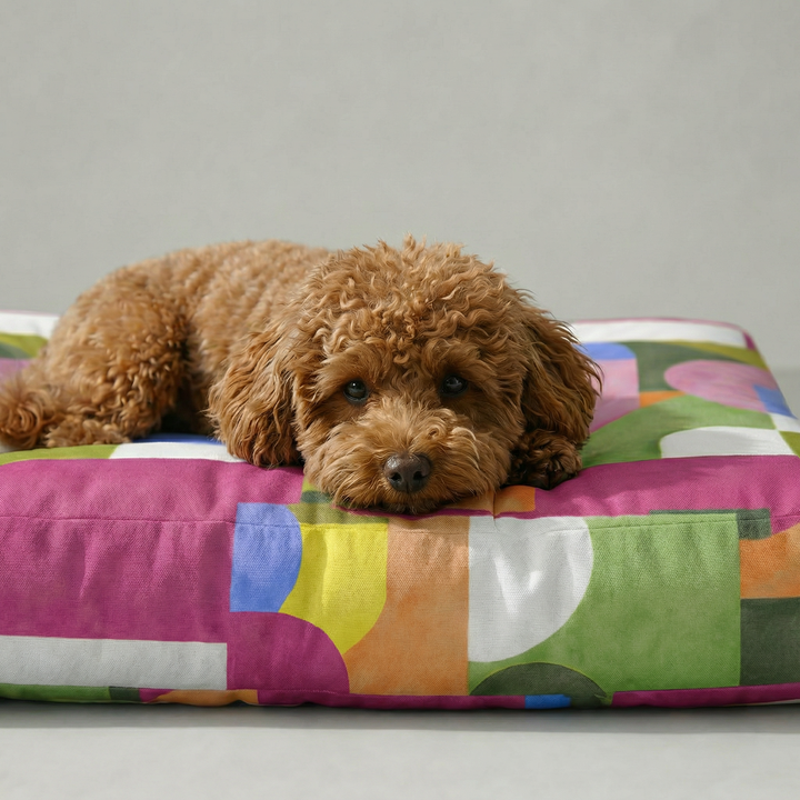 Cama de mascota 100% algodón antimanchas Dundee