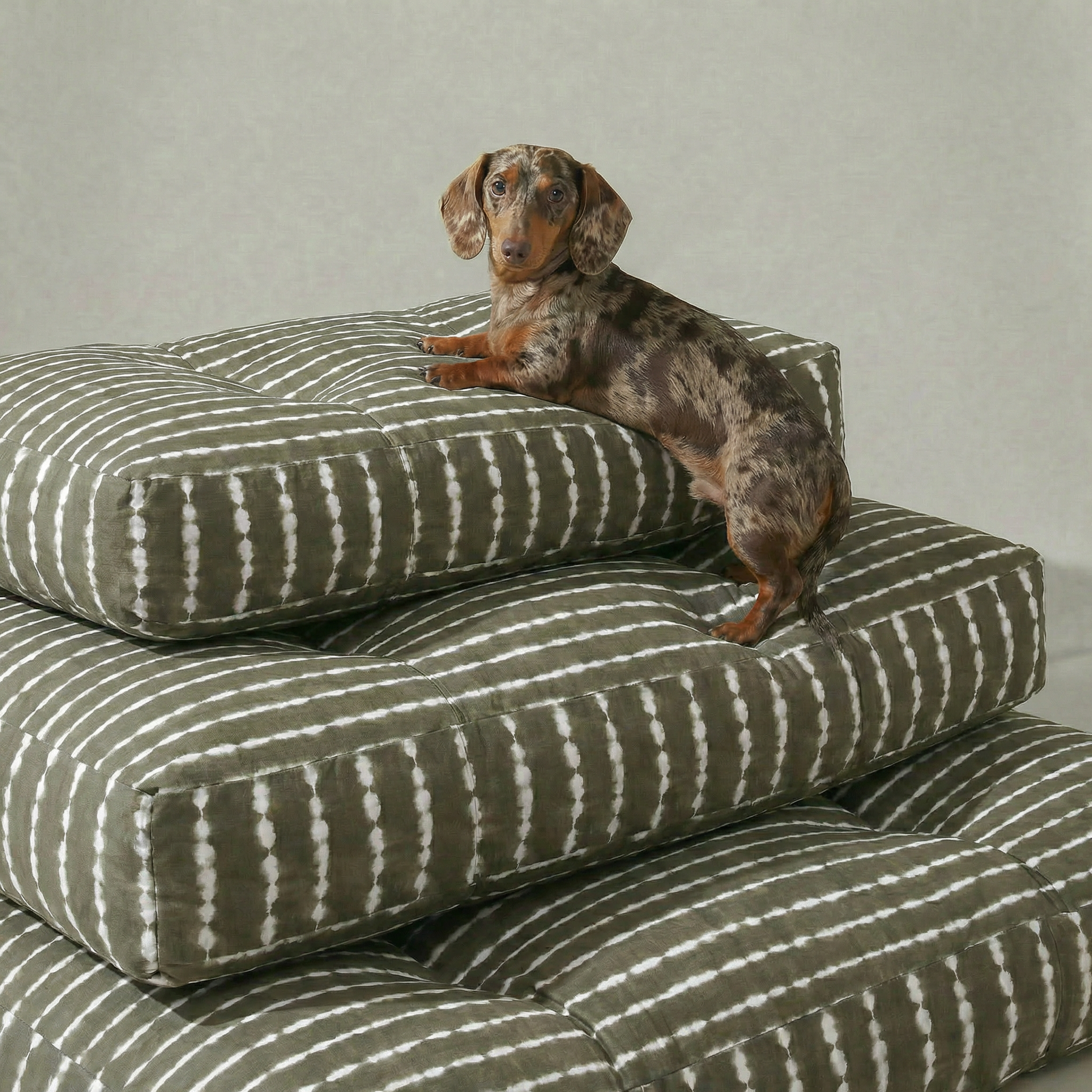 Bolton 6 Stain-Resistant 100% Cotton Pet Bed