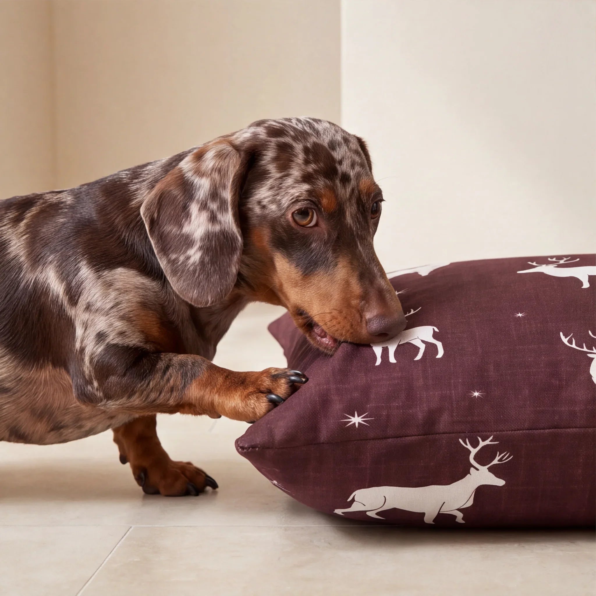 Funda para cama de mascota antimanchas Elmus